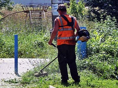 Газонокосильщик. Фото: Александр Воронин, Каспаров.Ru